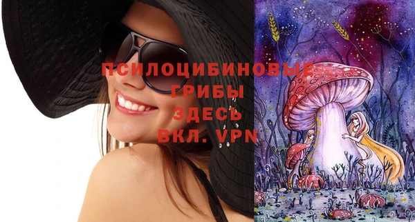 метадон Гусь-Хрустальный