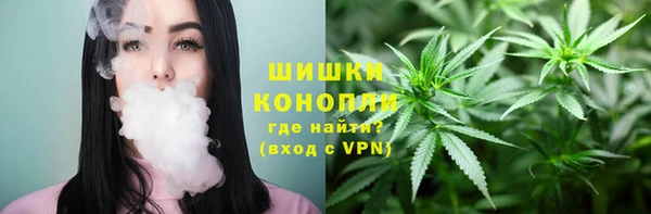 метадон Гусь-Хрустальный