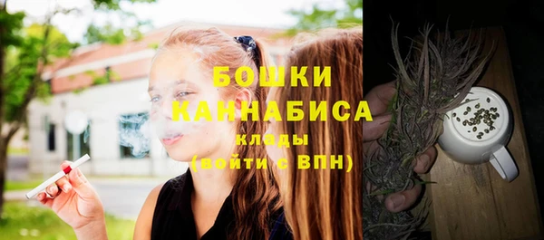 метадон Гусь-Хрустальный