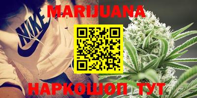 гашик Берёзовский