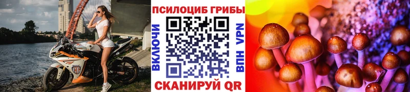 MEGA как зайти где можно купить наркотик Дмитров Псилоцибиновые грибы ЛСД