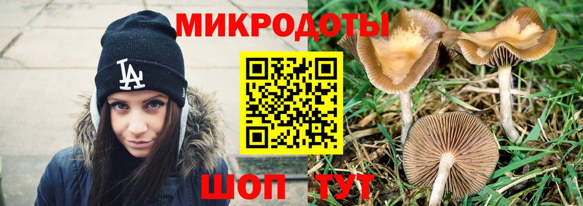 Галлюциногенные грибы Psilocybine cubensis  Дмитров 