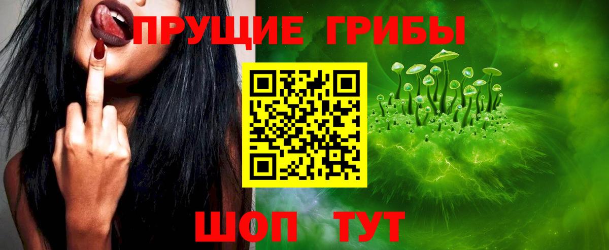 Псилоцибиновые грибы MAGIC MUSHROOMS Дмитров